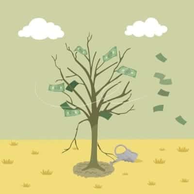 money tree can die with affiliate marketing for bloggers min money tree can die with affiliate marketing for bloggers