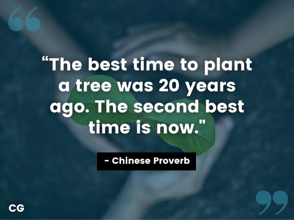 motivational quotes plant a tree min Chinese proverb quote