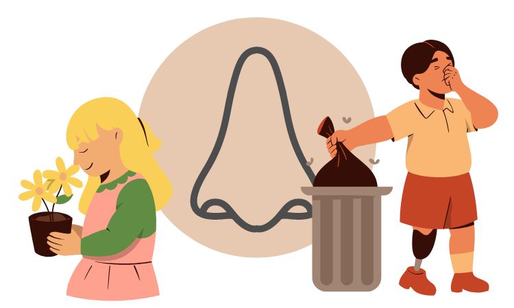 sense of smell imagery min sense of smell imagery