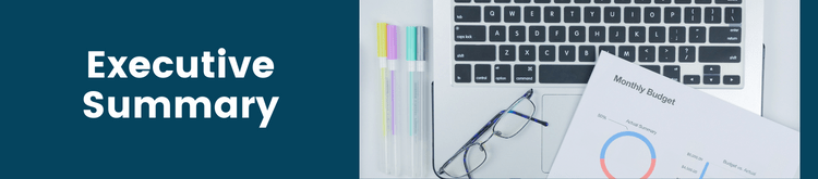 executive summary banner min executive summary banner