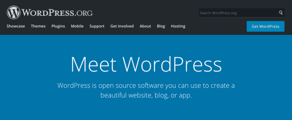 WordPress blogging platform WordPress blogging platform